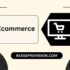 Website Builder